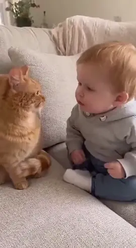 #@🌹 don't meow me 😂🤣😂😁😁😂😂😁😁😁😂😂😂😁😁😂🤣😂😂😁😁😁😂🥰😍😍😁😂🤣🤣🥰🤣