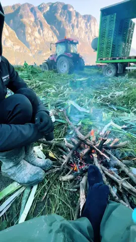 #vũchiếnviral #xuhuongtiktok 😄😄để có đc đồng tiền phải đánh đổi nhiều thứ