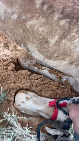 #افلح_من_ذكر_الله #شديد #امطار #الجوف #عبدالمنعم_الهملان 