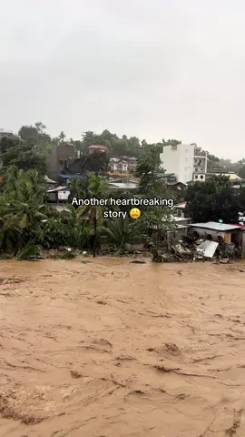 Amid the flood, humanity still shines. 🤍 #dogrescue #flood #cebu #talisaycebu #fyp 