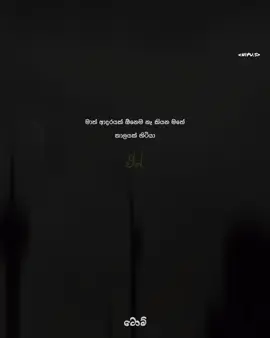 මේ සිත සනසා.....🥹♥️💐@Dolly girl_🐼💗