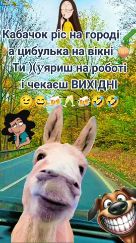 #позитив #врек #сміх #робота #вихідний 