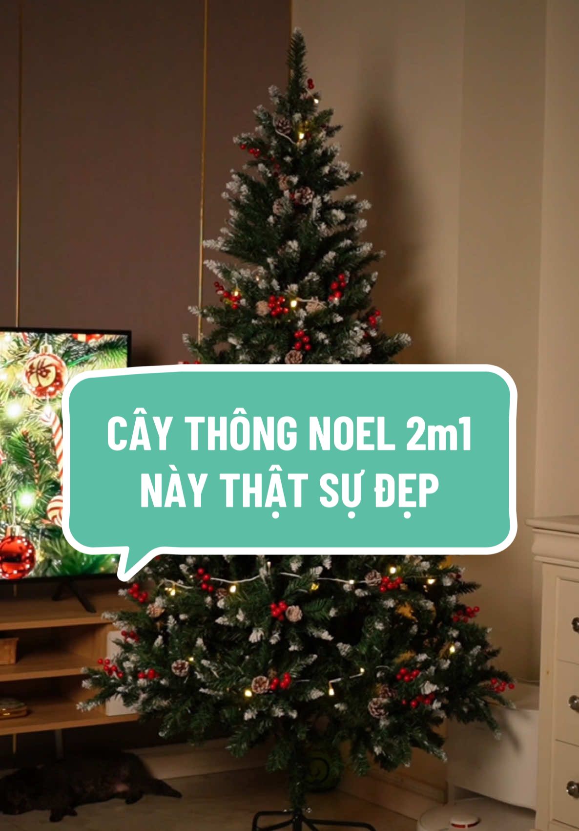 Cây thông Noel 2m1 này thật sự đẹp #caythongnoel #caythonggiangsinh #giangsinh #trangtrigiangsinh #noel 