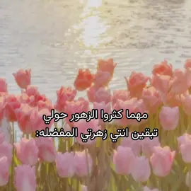 @ #تصميمي 