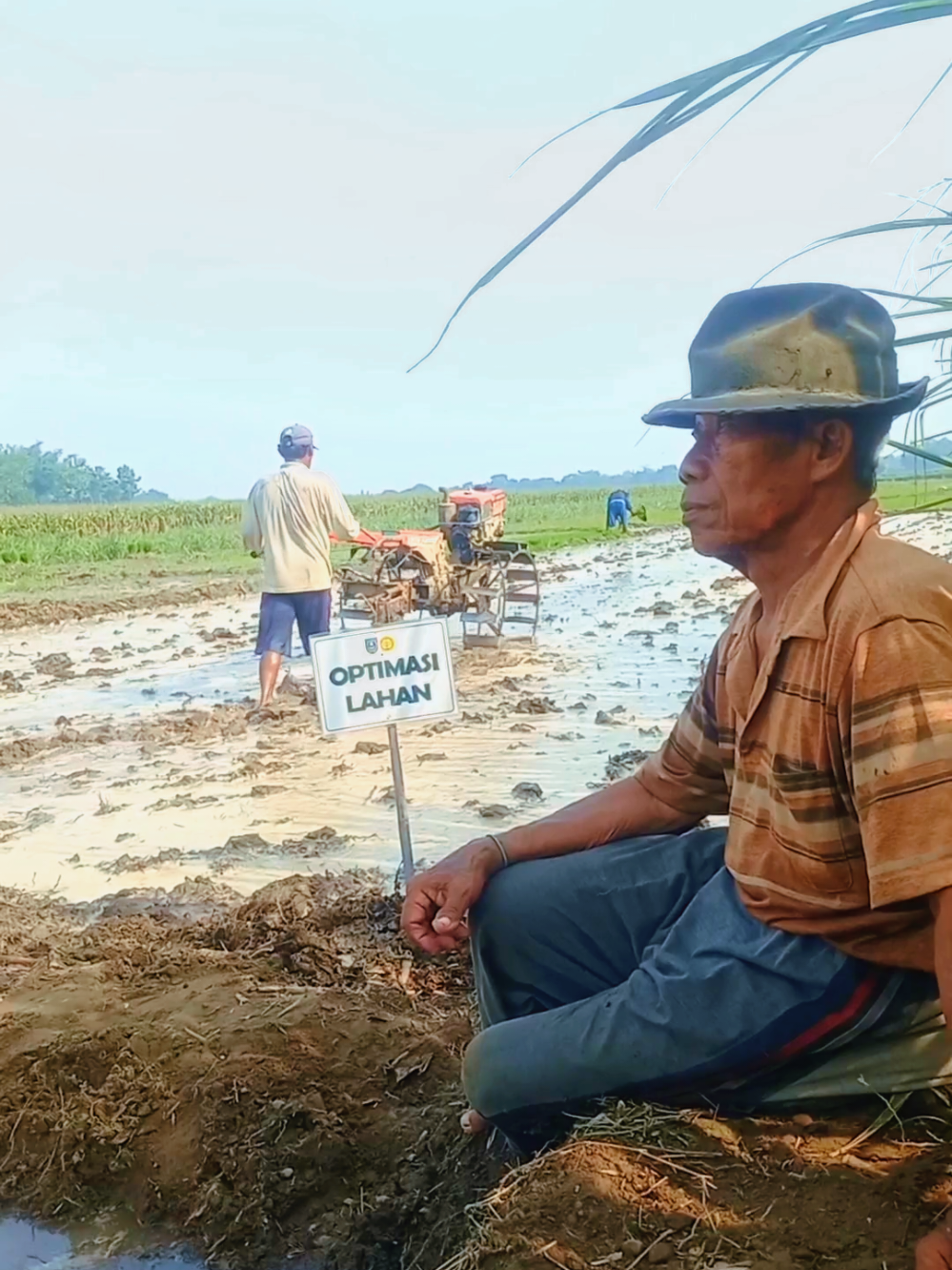 Optimasi Lahan Kabupaten Jombang #penyuluhpertanian 