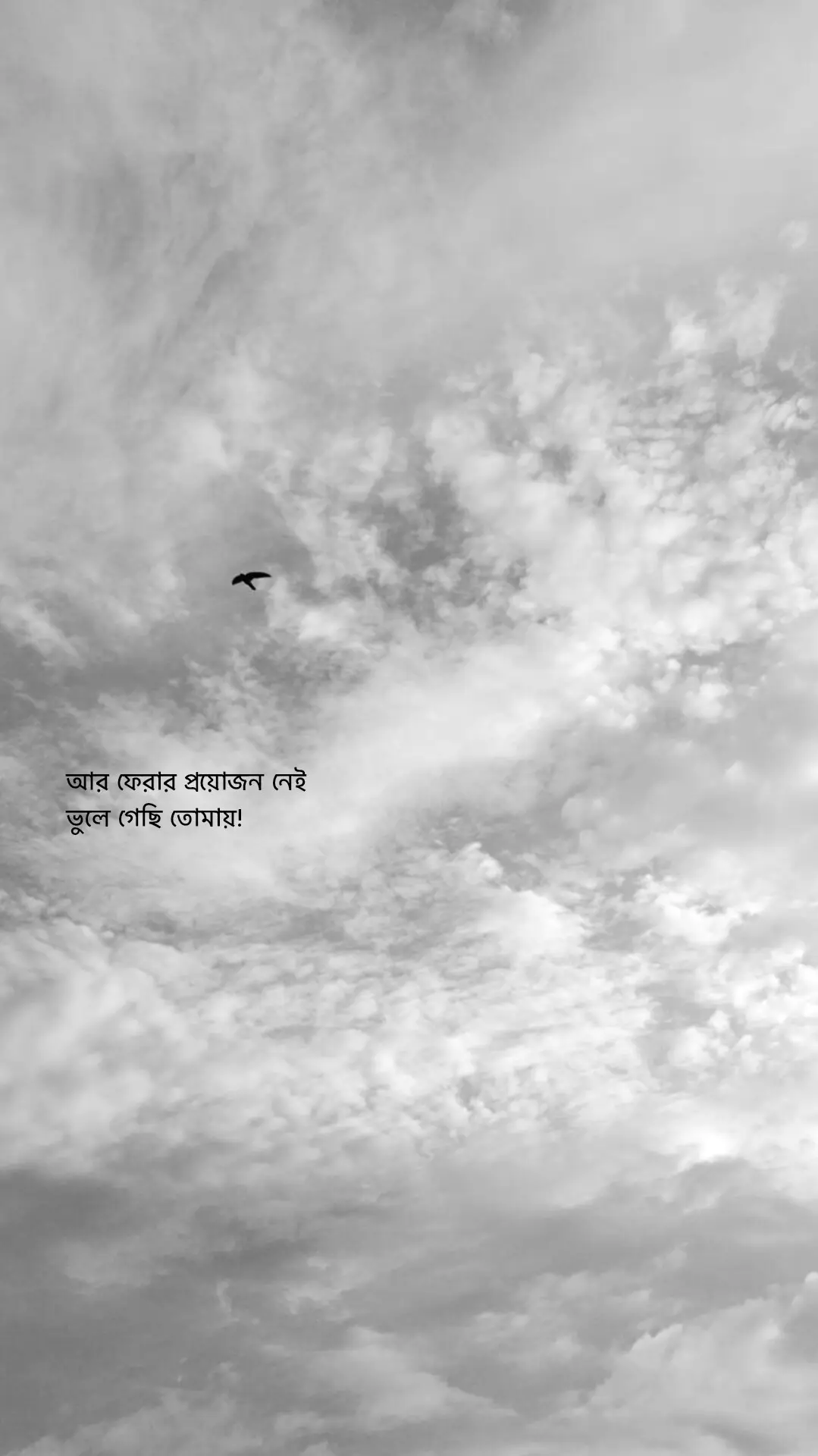 এর চেয়ে বড় মিথ্যে আর নেই😌 #foryouuuuuuuuuuuuu #unfreezemyacount #growmyaccount #fyp 