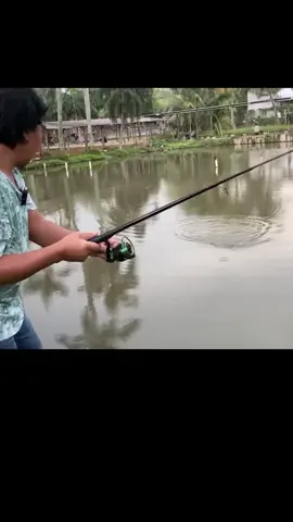 komeng adul mancing #komeng #adul #komengadul 