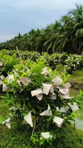 โชคชะตาเล่นตลก