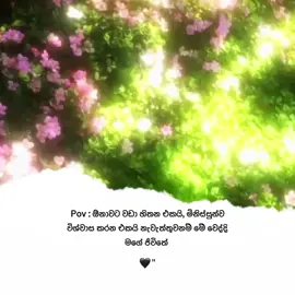 🙂🤍!  #fypシ #srilankan_tik_tok🇱🇰  #trending #sinhalaquotes  #onemillionaudition 