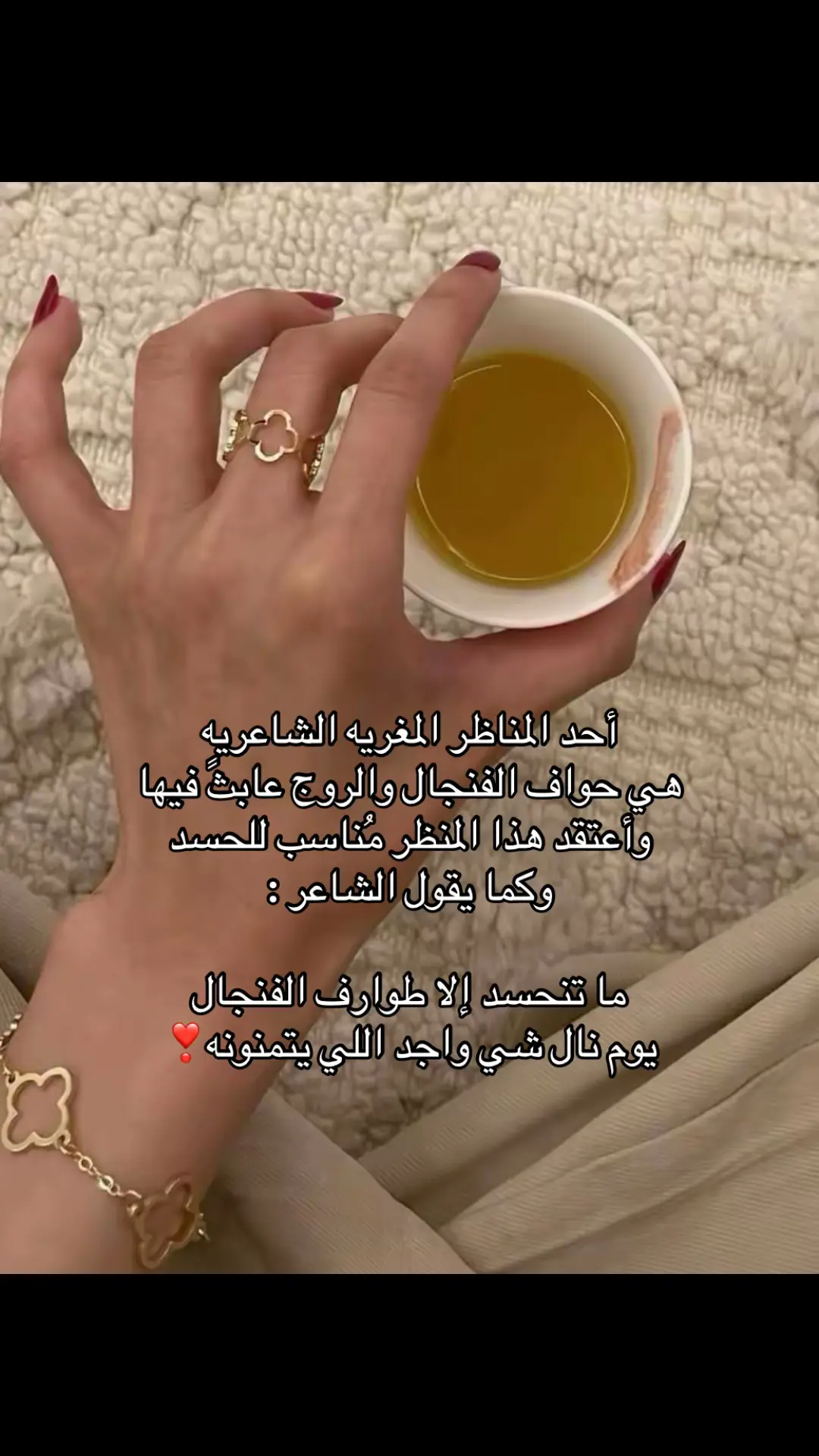 #الوليد_ال_عامر #foryou #اكسبلورexplore #explore #viral 