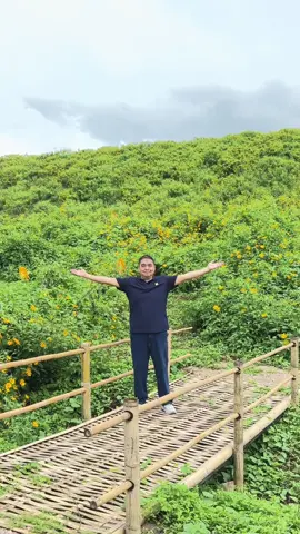 🛵🚌🌼 พาเที่ยวทุ่งบัวตองแม่เมาะ #ทุ่งดอกบัวตองแม่เมาะ #เทศกาลท่องเที่ยวแม่เมาะ #แม่เมาะลําปาง #กฟผแม่เมาะ #ฮิวมัสล้านปี 