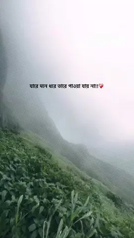 ❤️‍🩹 #fyp #unfrezzmyaccount #foryou #bdtiktokofficial #foryoupage 