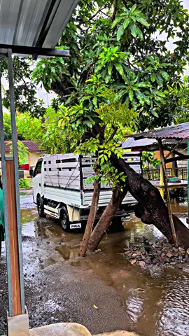 Tenang saja hujan masih air #fyp#fypage #situbondo 