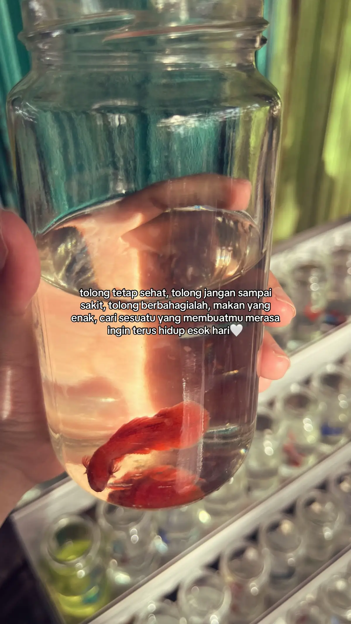 untukku dan untuk kalian semua...