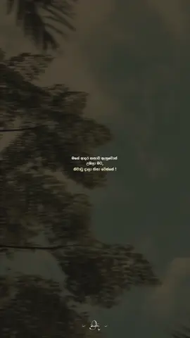 හ්ම්😮‍💨#sinhalaquotes #foryou #foryoupage #onemillionaudition #whatsappstatus 