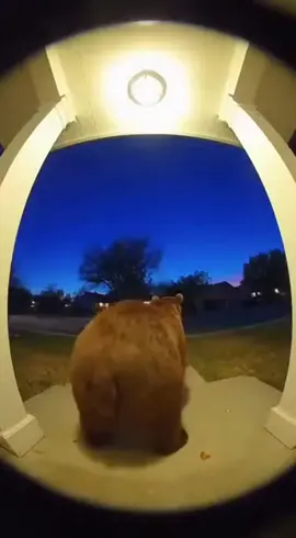 #AIImages#AIVisuals#GenerativeArt#AIAnimation#AICharacter#AIAvatar#