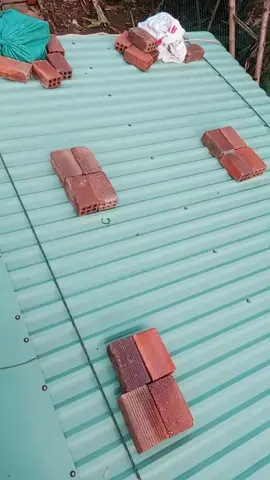 Trước bão trời đẹp một cách đáng sợ  #bão13#binhdinhquetoi 