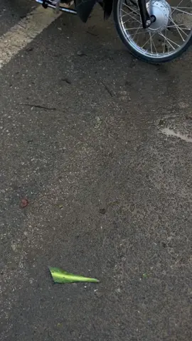 troll thoiii 🫠 #wave01588💞 #wave125i_ไฟเลี้ยวบังลม #wavedokieng✈️ #xedovietnam #xuhuongtiktok 