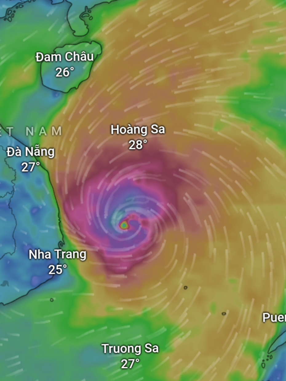 Dự báo đường đi của bão,cả nhà chú ý theo dõi để có những phương án chuẩn bị tốt nhất nhé #kalmaegi #nhatrang  #bao #đanang #quynhon 