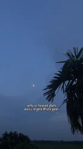 #creatorsearchinsights 