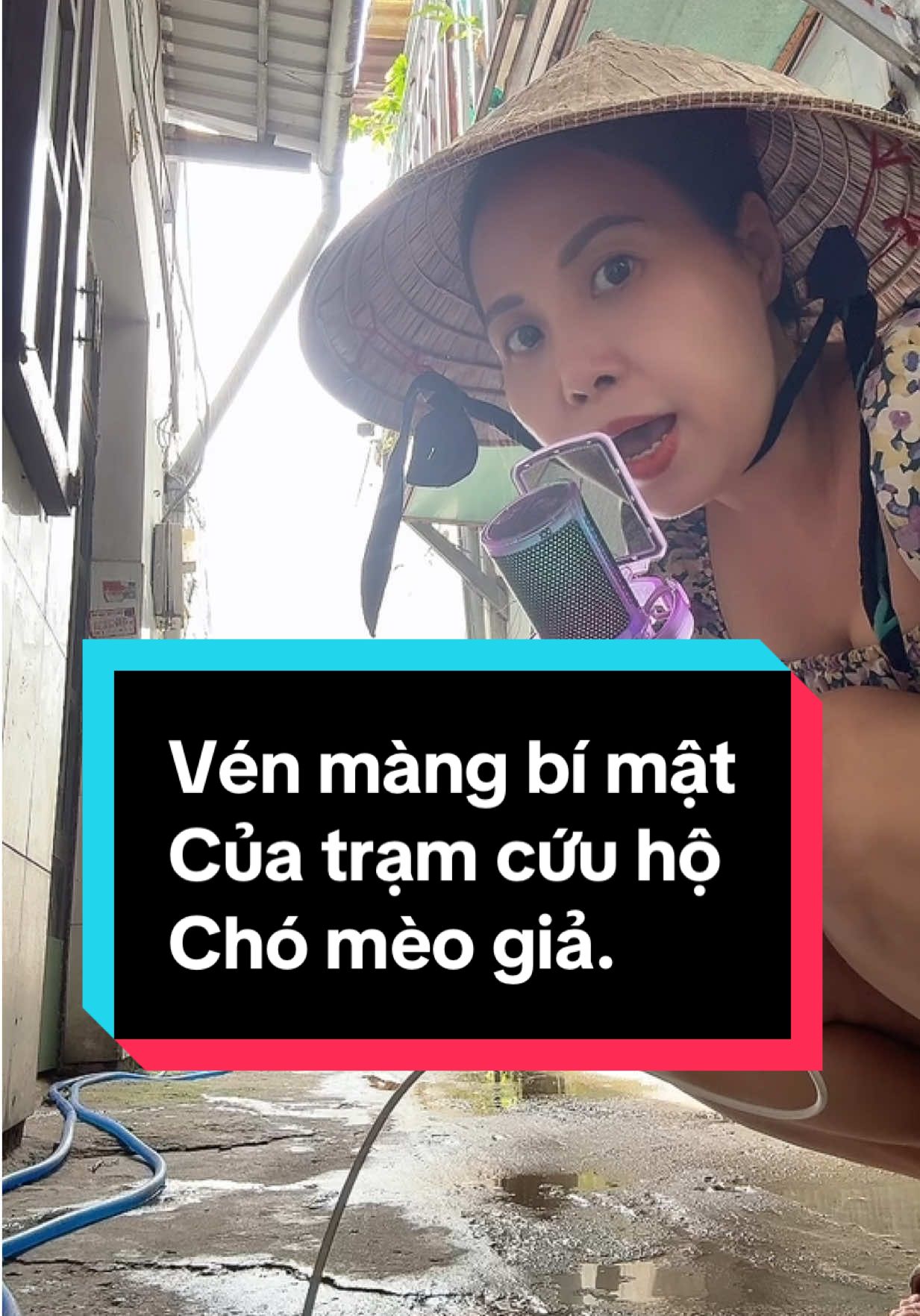 Hơi đau lòng nhưng đó là sự thật #bemuc #tiktok #lovepet #dog #TikTokAwardsVN 