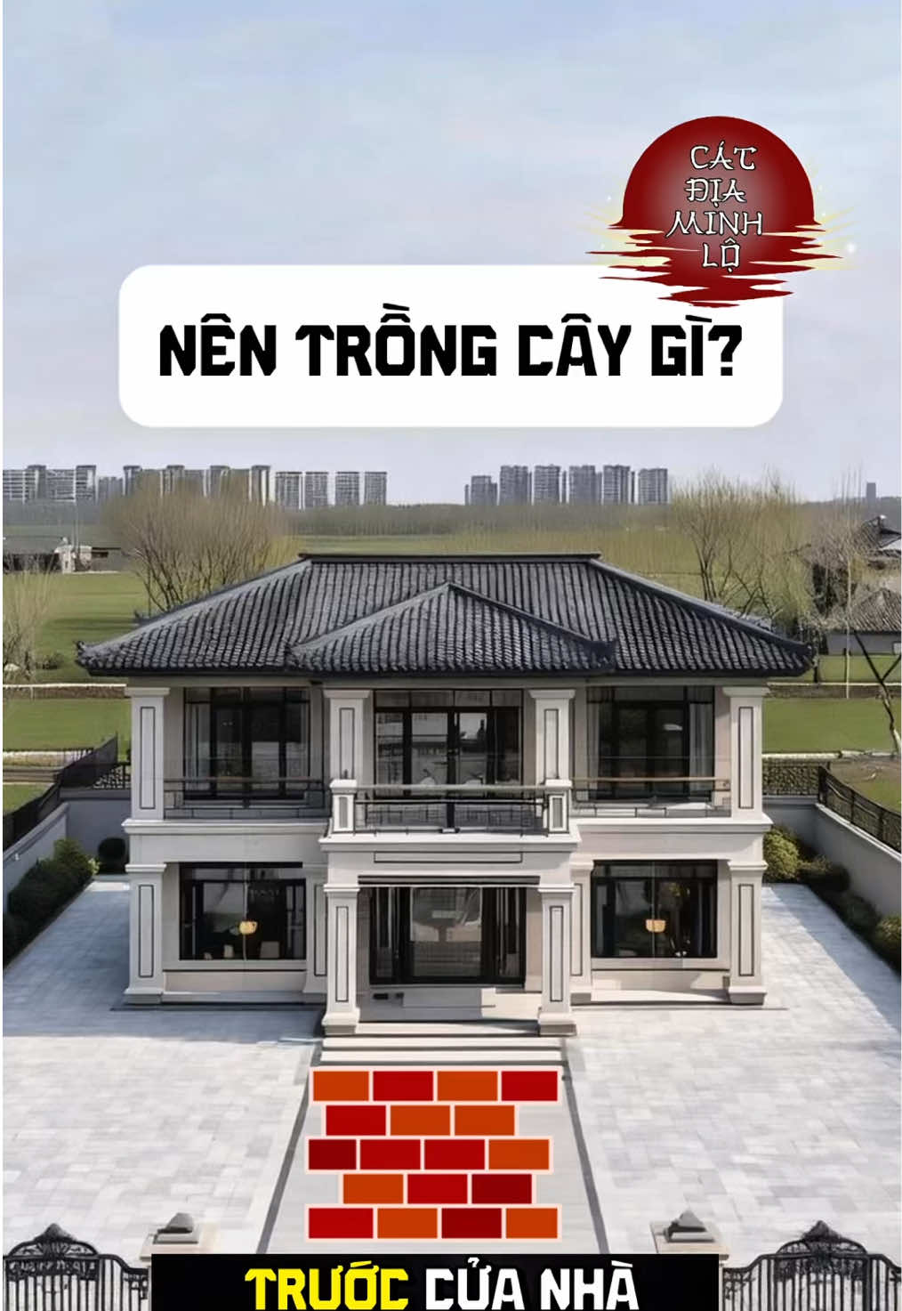 Trước cửa nhà không phải cây nào trồng cũng được 🌳 Có những loài cây vừa mang may mắn, vừa giữ bình an cho cả gia đình. Bạn đã biết 6 loại cây “chiêu tài – dưỡng phúc” này chưa? 🍃 #phongthuy #cayphongthuy #nhadep #tailoc #tamlinhphongthuy 