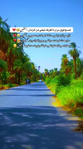 هسع فرق مرارة الفرقه نبكي من الزمان الشين😔💔 #اغاني_شوايقه_طمبور  #عزالدين_وداعه🥰  #الولايه_الشماليه🌴💚  #طنبورشوايقه 