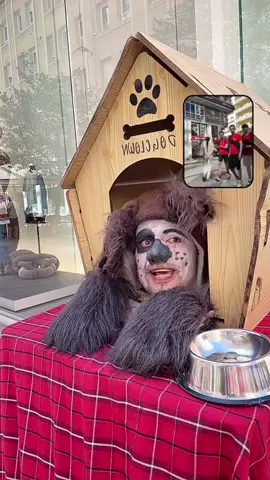 Se amable #parati #fyp #actor #perros #consejos 