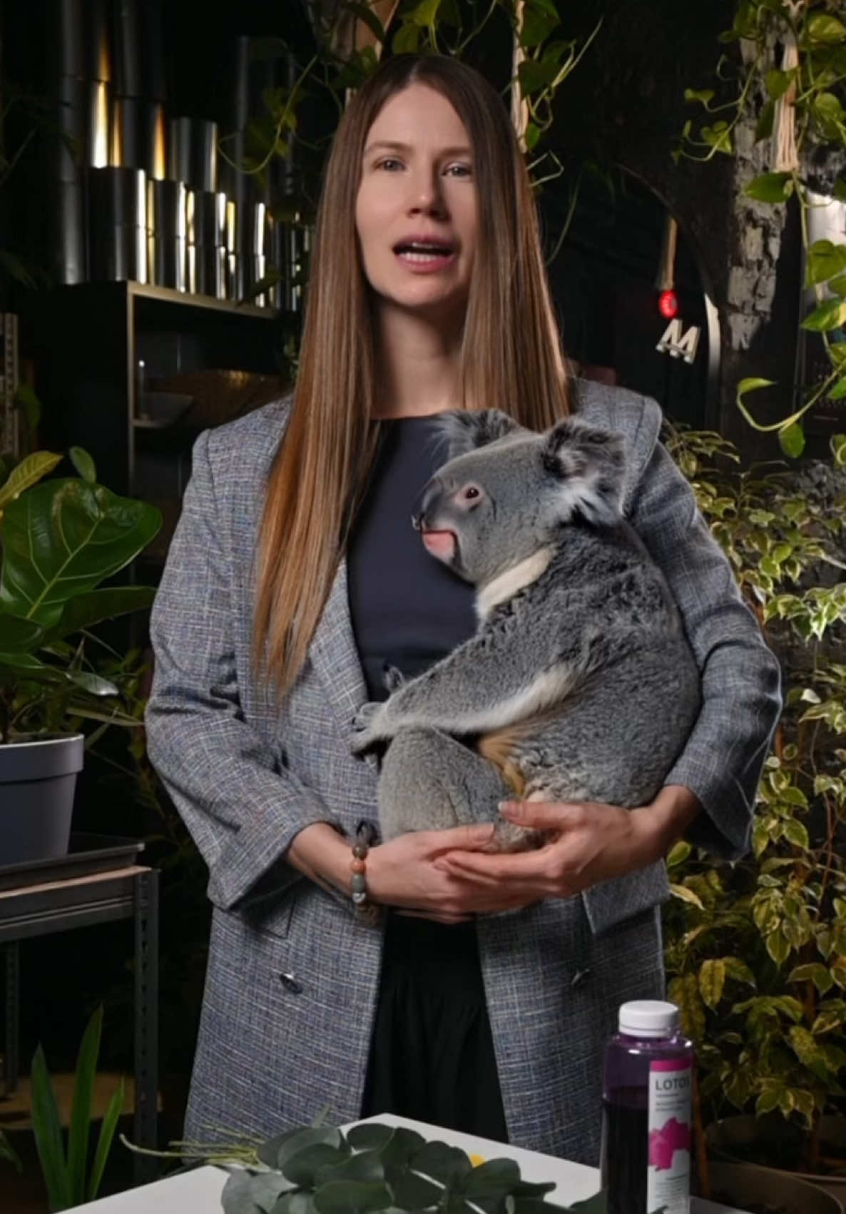 Красим эвкалипт! Давно люблю экспериментировать с ним: у каждого вида — свой результат. Единственное, что неизменно — используем только очень яркие цвета!  Как вам такой вариант? Мне прям очень нравится цвет! #школынгф #эвкалипт #флористика #краскаlotos