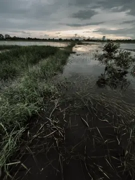 #xhhhhhhhhhhhhhhhhhhhhhhh #fyp #fyp #ae 