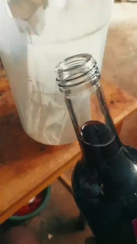 neko diloske😂#masukberandafyp 