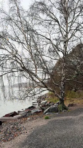 📍Espoo Finland #suomi #finland🇫🇮 #suomitiktok #espoo #autumn 