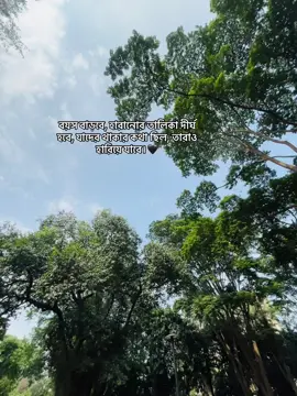 বয়স বাড়বে, হারানোর তালিকা দীর্ঘ হবে, যাদের থাকার কথা ছিল, তারাও হারিয়ে যাবে।🖤 #mahirrr_28 #caption #status #writer #weather 