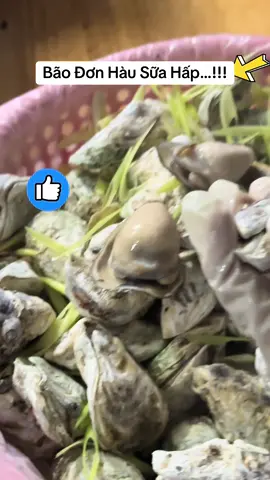 - Em Ship Hàu Tới 8h tối . Khách dùng nhắn em nha #haisankimnguyen_q6 #haisantuoisong #hausuaphuochai #hàusữa #xuhuongtiktok 