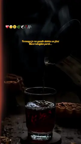 Dear tiktok team don't under review my video  ❤️‍🩹🤕🌼🌿🕊️🥀 #peerajmalrazaqadri #islamic_video #viralaccount #500k #islamic_media 