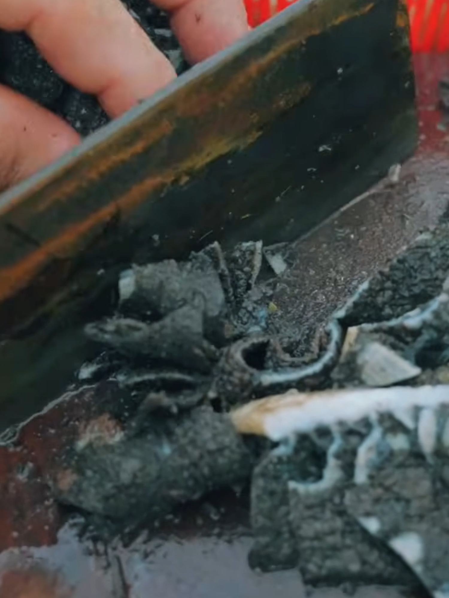 Cỗ cưới Rubathan toàn món ngon anh em ạ  #sapatv #haisapatv #amthuc #xuhuong #chamcheosapatv