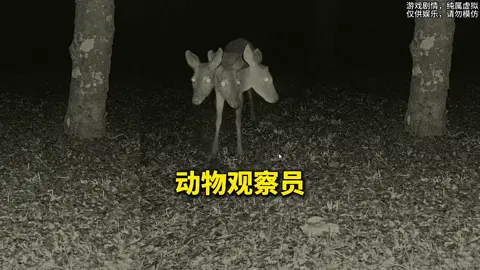 夜晚动物保护区值班，拍到的都是奇怪动物！#游戏 #游戏解说 