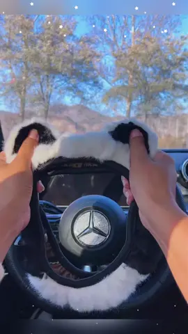 #caraccessories #cargadgets #us #nyc 