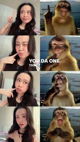 ud segemoi monyetnya blm