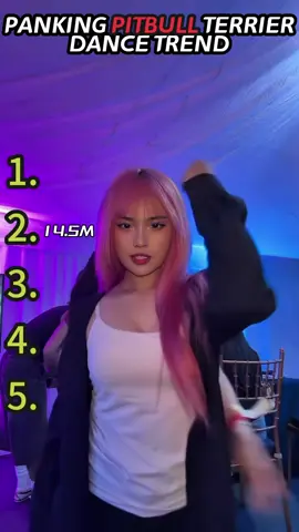 Ranking pitbull TERRIER dance trend 😱🔥 #ranking #pitbull #dance #trend #foru