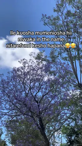 😹😭 #fyp #csmdeadly #kenyantiktok🇰🇪 #trendingvideo #viral 