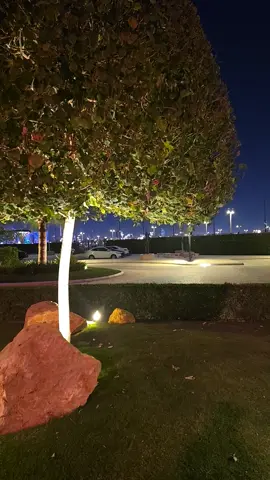 #مالي_خلق_احط_هاشتاقات #مجرد________ذووووووق🎶🎵💞 