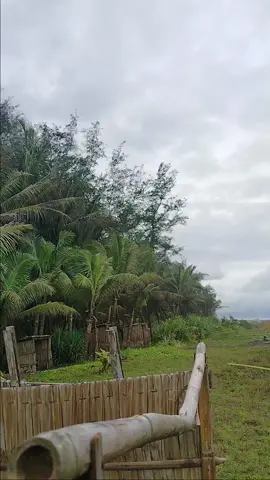 #widarapayung #viral #promomakanharian #sbmangkeliii #sbmangkeliii 