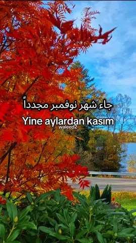 جاء شهر نوفمبر مجدداً Yine aylardan kasım #اكسبور_متابعة_لايك #اغاني_تركيه_مترجمه #f #explore #istanbul 