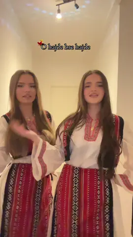 @veshjekombetareajfer @erona.ll @meri shabani 🌼 #fyp #dancer #albanian #🇦🇱 #🇦🇱🇽🇰 