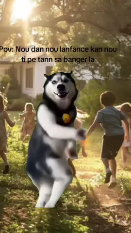 #Meme #MemeCut #CapCut @Vanesse @Mish_bahadoor #funnyvideos #goviral 