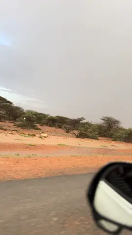 Ramdannn mxa inga xiga🌙🌿#somalitiktok #ramdankareem_رمضان #videoviral #somalitiktok 