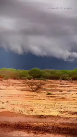 ##jawi_bila🌊❤️🌴 #foryoupage❤️❤️ #100kviews✔️tik @dhaqan dhowre1 @Ⓜ Jabuuti♻ 