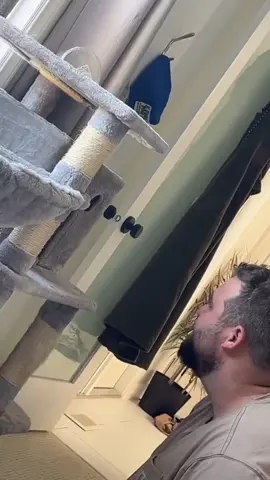 #TikTok#Confused #FunnyAnimalVideos #PetsBecomeClever