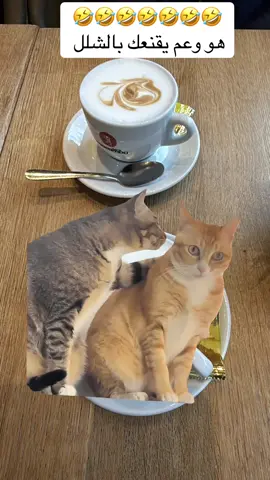 #MemeCut #Meme #MemeCut 